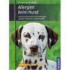 Allergien beim Hund: Natürlich behandeln und vorbeugen. Auslöser